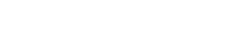 The Wellness Company